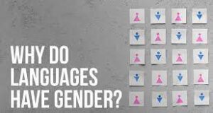 Gender