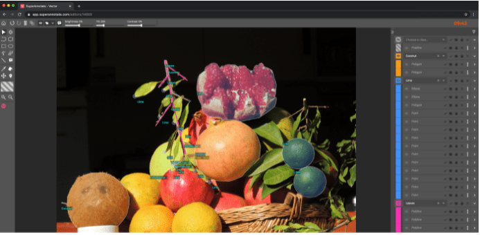 Image annotation , image annotation tool , 24x7 offshoring , image annotation services