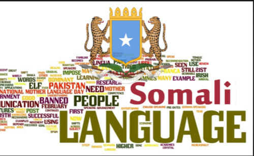 somali language translation services
