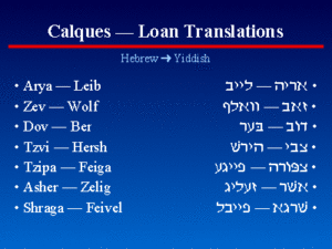 Loan Translation 