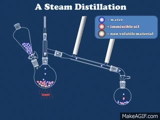 Data distillation