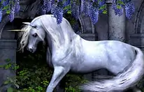 the history of unicorn