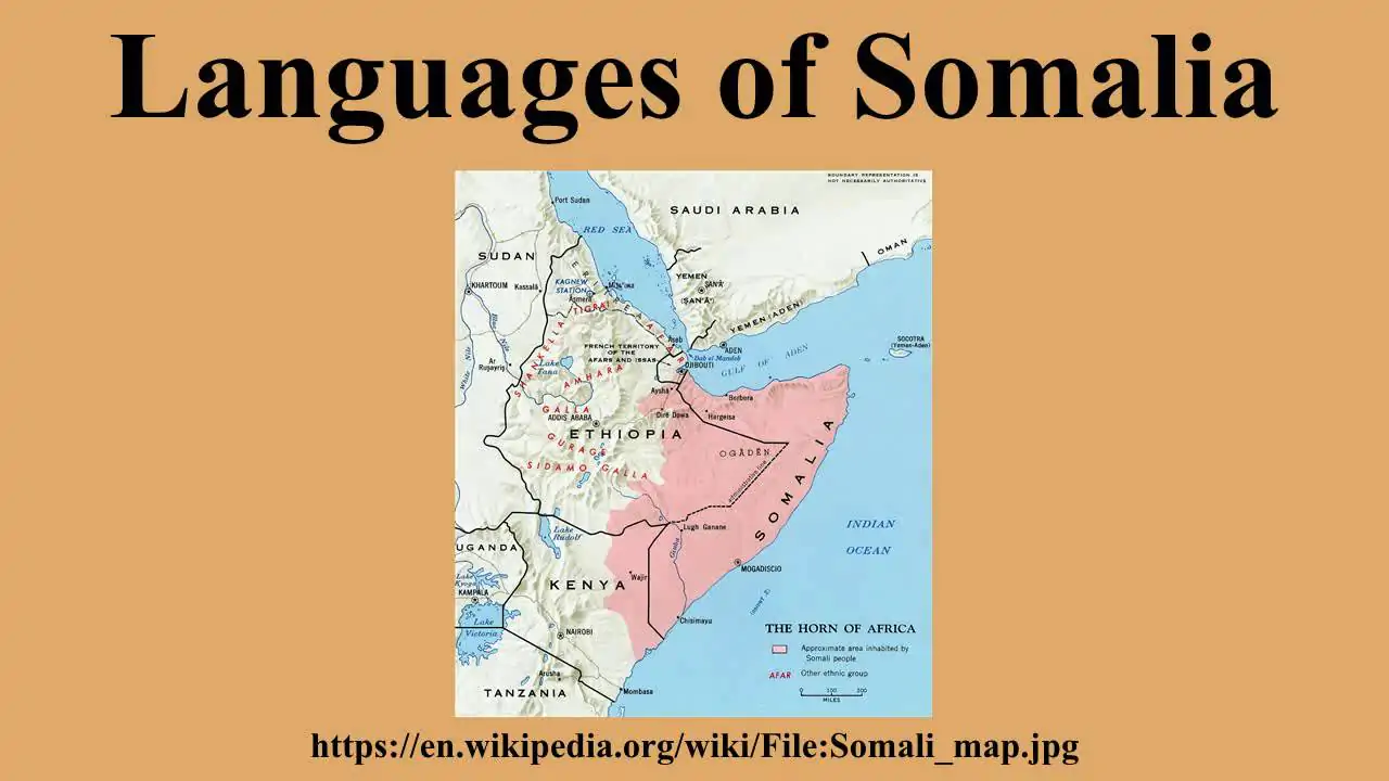 somali translation